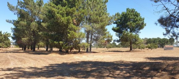 5000m² Land in Palmela, Portugal No. 58104 6