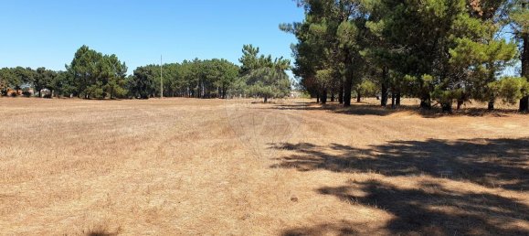 5000m² Land in Palmela, Portugal No. 58104 3