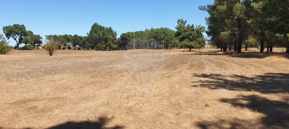 5000m² Land in Palmela, Portugal No. 58104 5