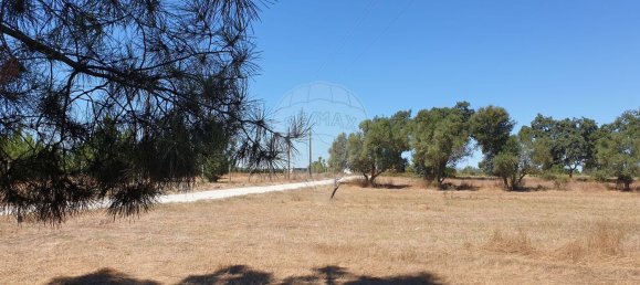 5000m² Land in Palmela, Portugal No. 58104 4