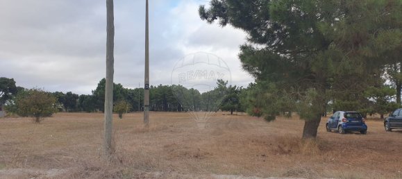 5000m² Land in Palmela, Portugal No. 58104 2