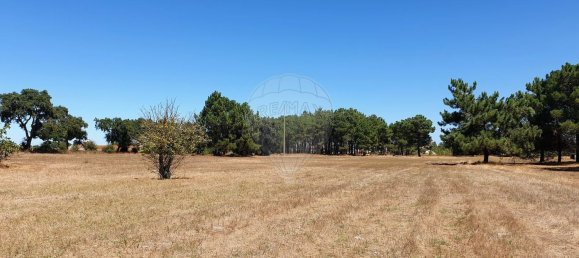 5000m² Land in Palmela, Portugal No. 58104 7