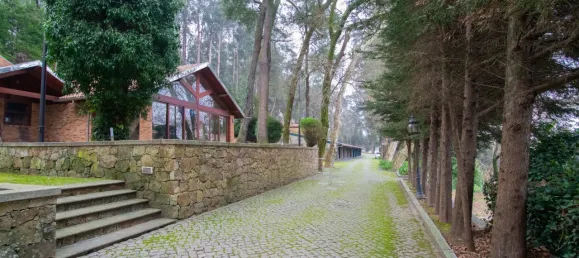 Casa de 4 dormitorios en Oliveira de Azemeis, Portugal No. 72020 3