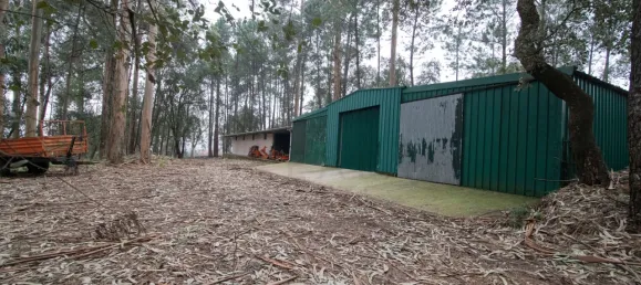 Casa de 4 dormitorios en Oliveira de Azemeis, Portugal No. 72020 5