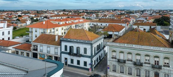 Casa T8 em Alpiarça, Portugal N.º 25406 29
