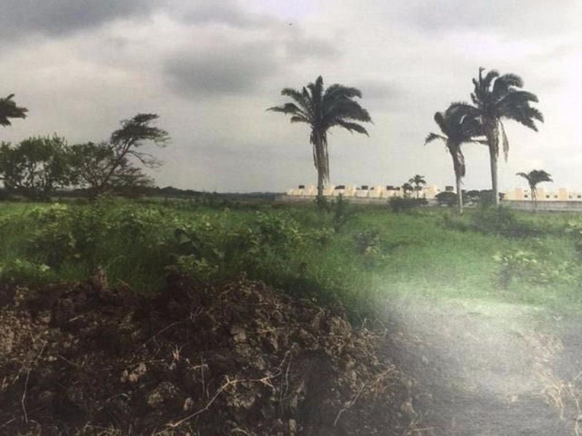  Land in Veracruz, Mexico No. 207011