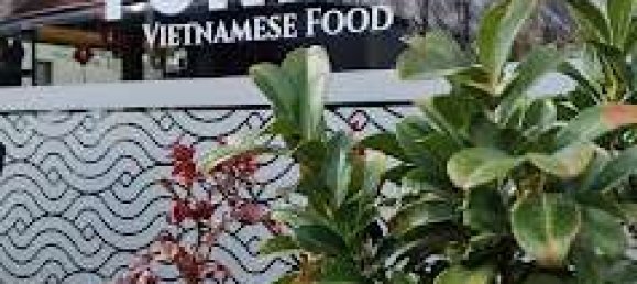 167m² Cafe / restaurant in Leipzig, Germany No. 222461 8