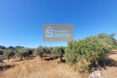  قطعة أرض في Sao Bras de Alportel, Portugal رقم 228503