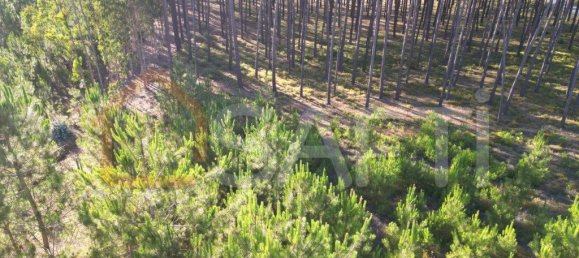 Casa T4 em Alcobaça, Portugal N.º 151113 35