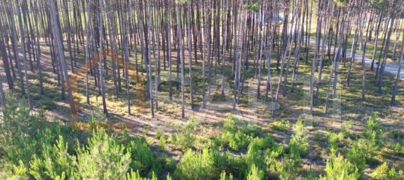 Casa T4 em Alcobaça, Portugal N.º 151113 14