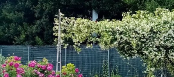 Apartamento T4 em Sassari, Italy N.º 318170 7