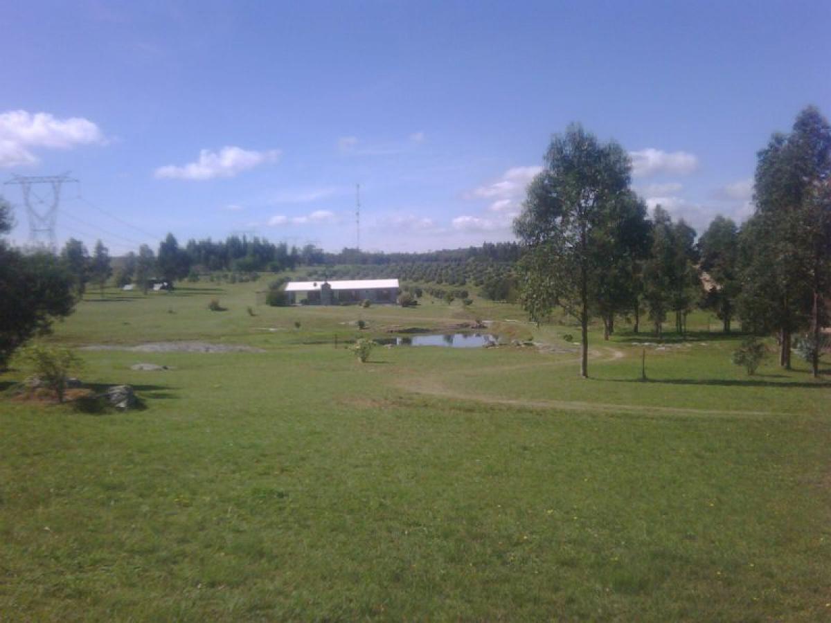  مزرعة في Maldonado, Uruguay رقم 15622