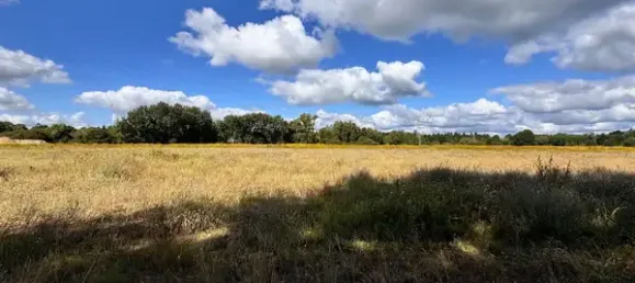 2 bedrooms House in Oberhavel, Germany No. 305202 28