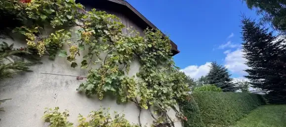 2 bedrooms House in Oberhavel, Germany No. 305202 13