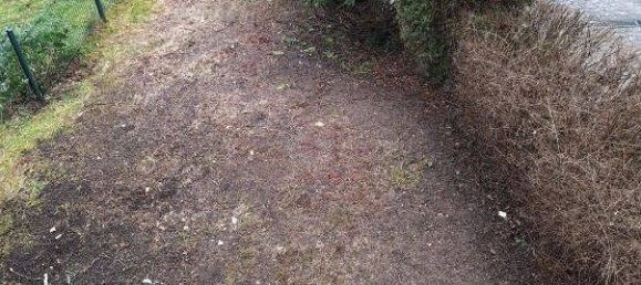 5-salle Maison à Saarpfalz, Germany No. 35260 12