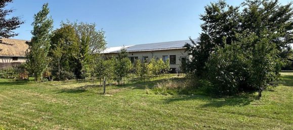 Almacén en Wittenberg, Germany 3600 m² No. 276292 9