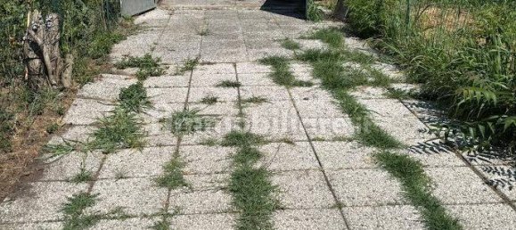 1 bedroom Apartment in Caselle Lurani, Italy No. 345320 15