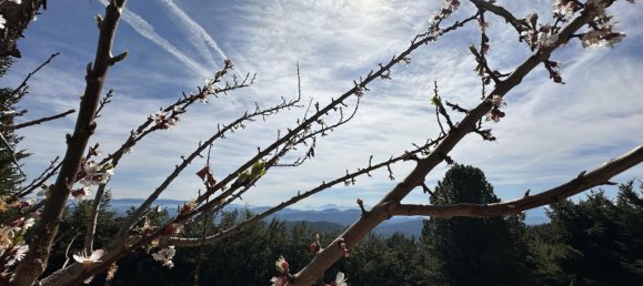 7 rooms House in Albeck, Austria No. 250996 8