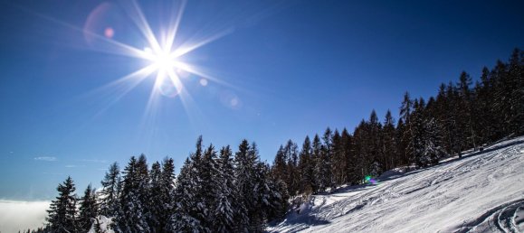 7 rooms House in Albeck, Austria No. 250996 10