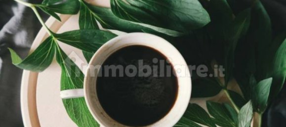 Коммерческая недвижимость с 1 комнатой в Верона, Италия № 201989 8