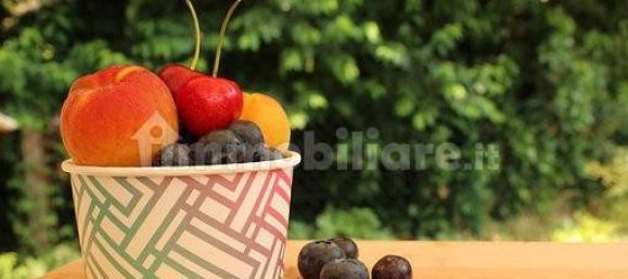 Коммерческая недвижимость с 1 комнатой в Верона, Италия № 201989 12