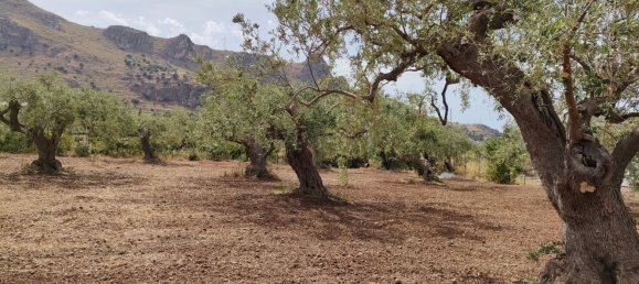 Terrain à Termini Imerese, Italy 3000m² No. 256206 3