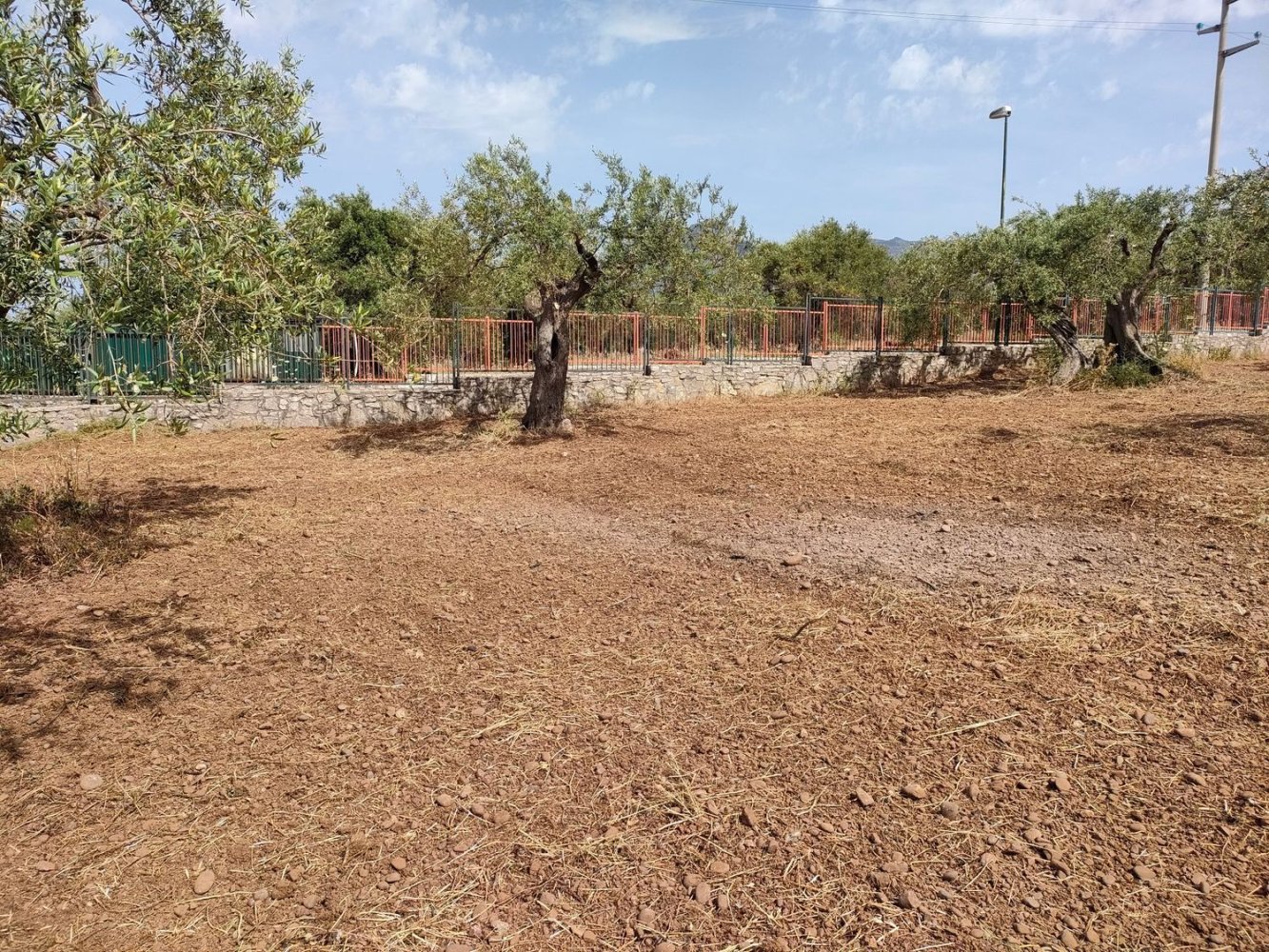 Terrain à Termini Imerese, Italy 3000m² No. 256206