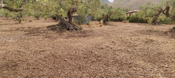 Terrain à Termini Imerese, Italy 3000m² No. 256206 4