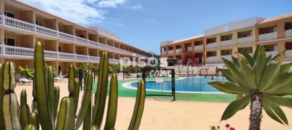 1 Schlafzimmer Wohnung in Arona, Spain, Nr. 25099 12