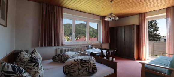 11 rooms House in Grein, Austria No. 175592 4