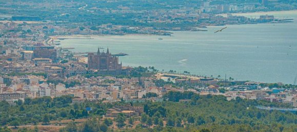 Villa de 4 dormitorios en Palma de Mallorca, Spain No. 167510 18