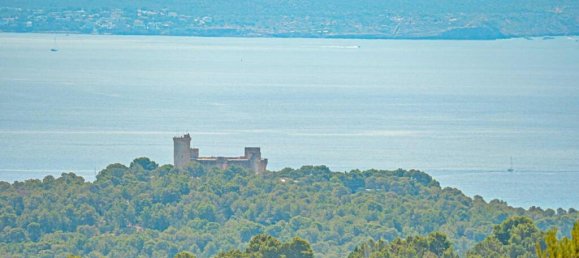 Villa de 4 dormitorios en Palma de Mallorca, Spain No. 167510 11