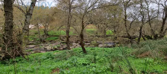 4 غرف نوم منزل في Montemor o Novo, Portugal رقم 15066 7