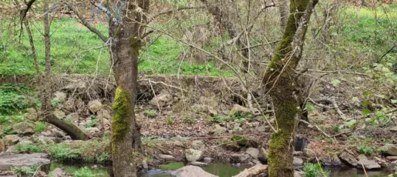 4 غرف نوم منزل في Montemor o Novo, Portugal رقم 15066 39