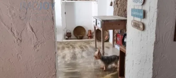 4 غرف نوم منزل في Montemor o Novo, Portugal رقم 15066 23