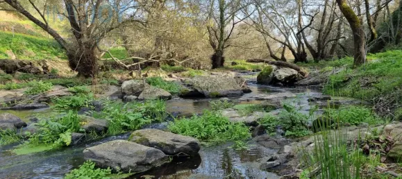 4 غرف نوم منزل في Montemor o Novo, Portugal رقم 15066 6