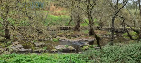 4 غرف نوم منزل في Montemor o Novo, Portugal رقم 15066 5