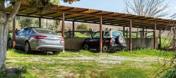 1 bedroom Apartment in Riparbella, Italy No. 124426 12