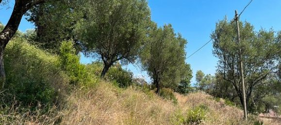  قطعة أرض في Santa Marina, Italy 3000متر مربع رقم 267236 4