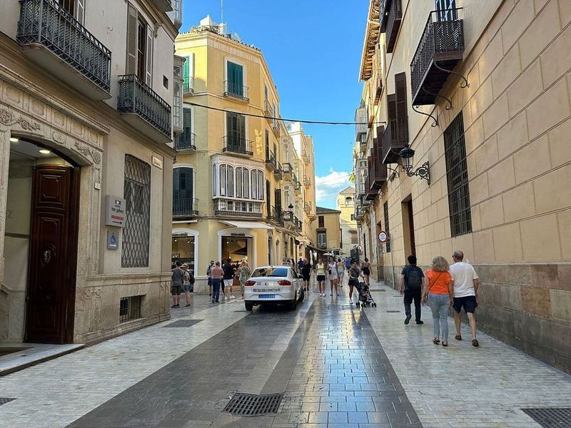  Commercial property in Malaga, Spain No. 231237