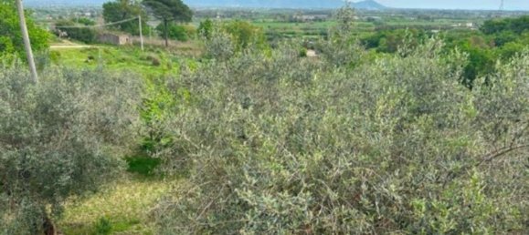 3 rooms Apartment in Minturno, Italy No. 291482 11