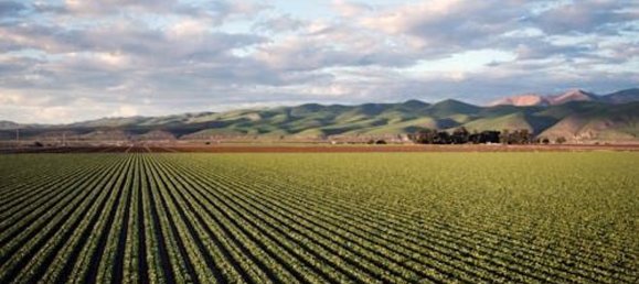 130m² Land in Motta Sant'Anastasia, Italy No. 338552 9