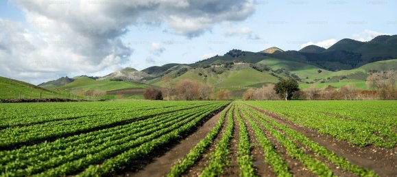 130m² Land in Motta Sant'Anastasia, Italy No. 338552 7