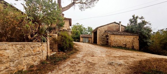 20 rooms House in Sovicille, Italy No. 223417 5