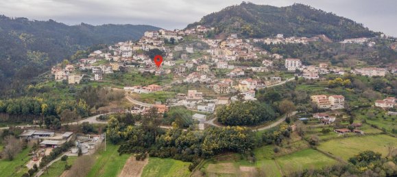 5 Schlafzimmer Haus in Penacova, Portugal, Nr. 40276 7