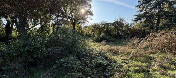 Grundstück in Biedermannsdorf, Austria, Nr. 166005 2