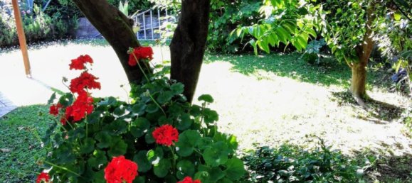 14 rooms House in Montignoso, Italy No. 286197 36