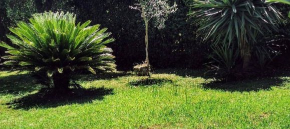 14 rooms House in Montignoso, Italy No. 286197 11