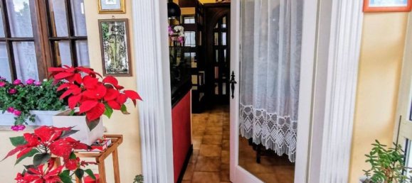 14 rooms House in Montignoso, Italy No. 286197 2