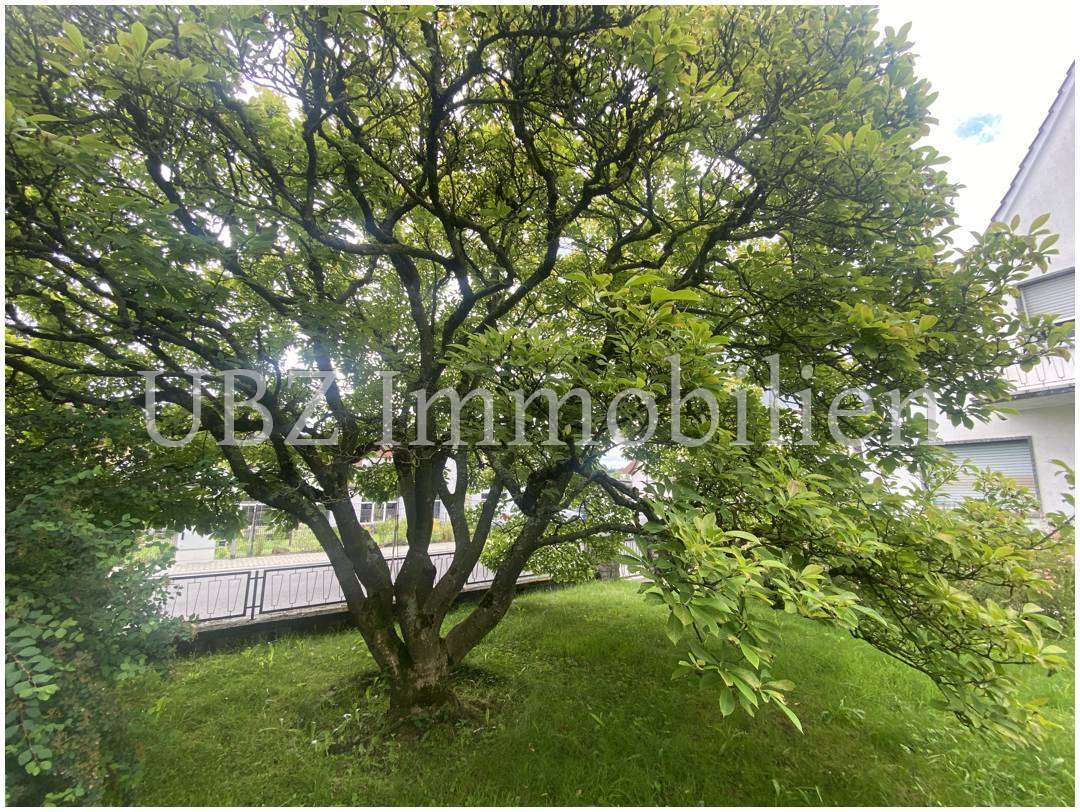 Terreno em Aschaffenburg, Germany N.º 176176